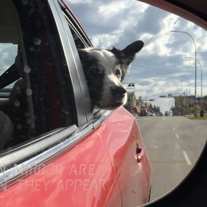 MargaretMcCa257's avatar